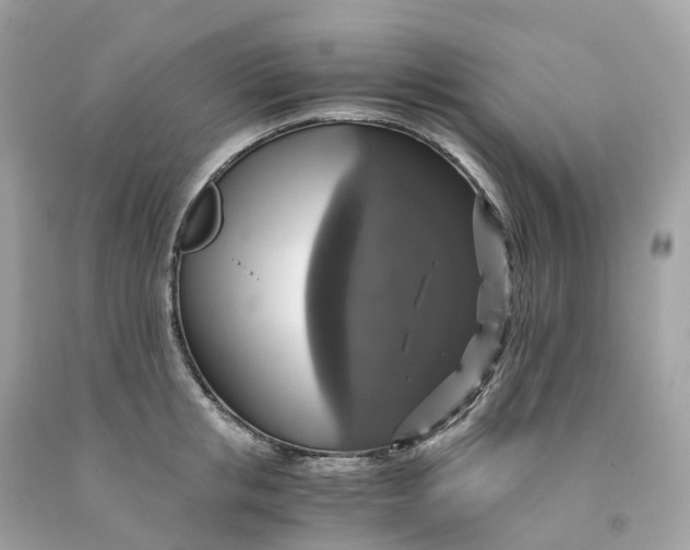 X0000091480853200709061838