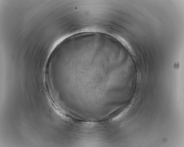 X0000091480854200709061838