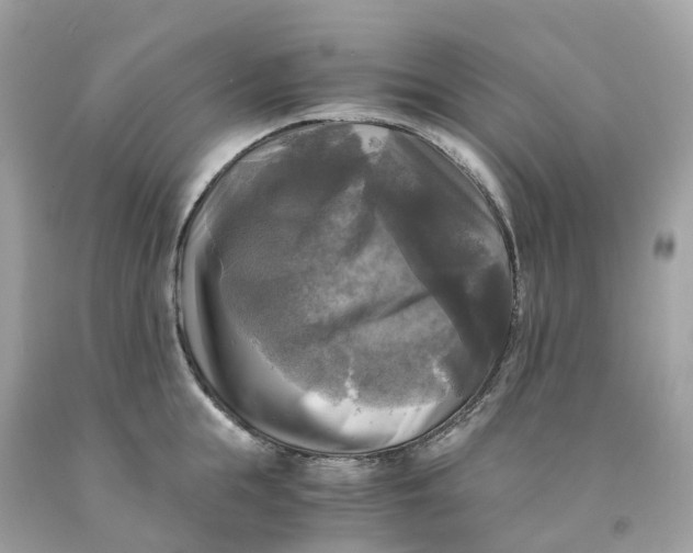 X0000091480855200709061838