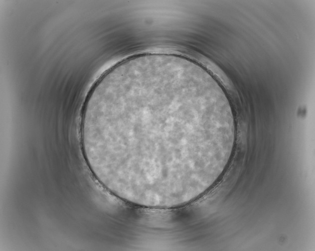 X0000091480856200709061838