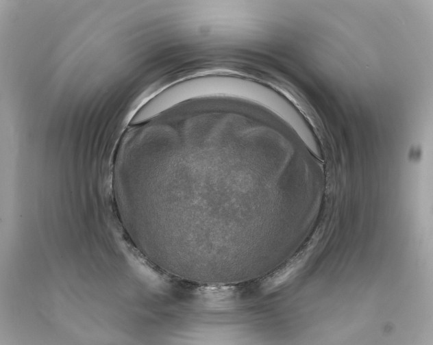 X0000091480858200709061838