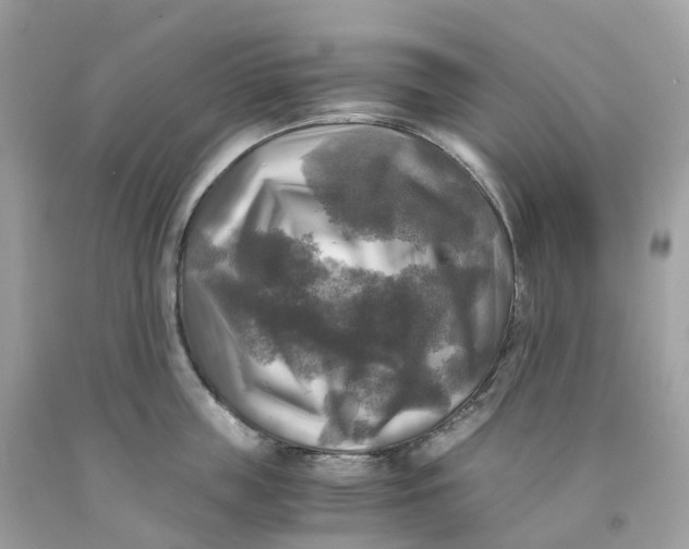 X0000091480859200709061838