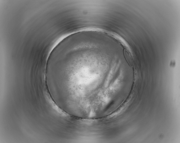 X0000091480860200709061838