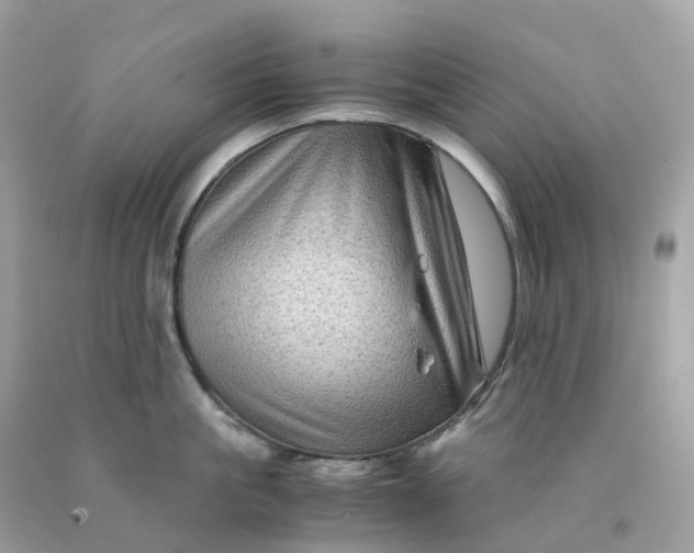 X0000091480861200709061838