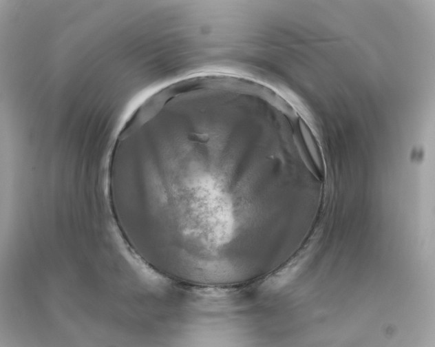 X0000091480862200709061838