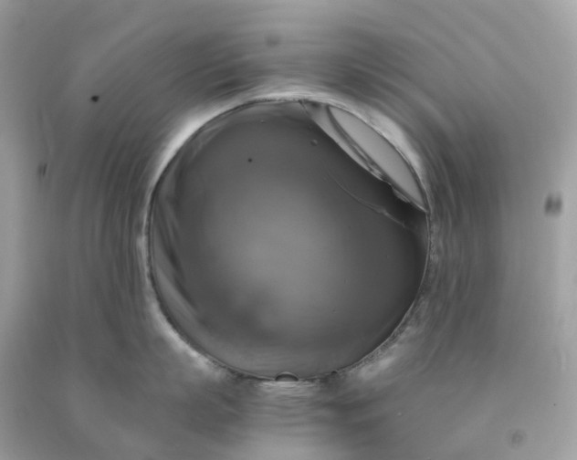 X0000091480863200709061838