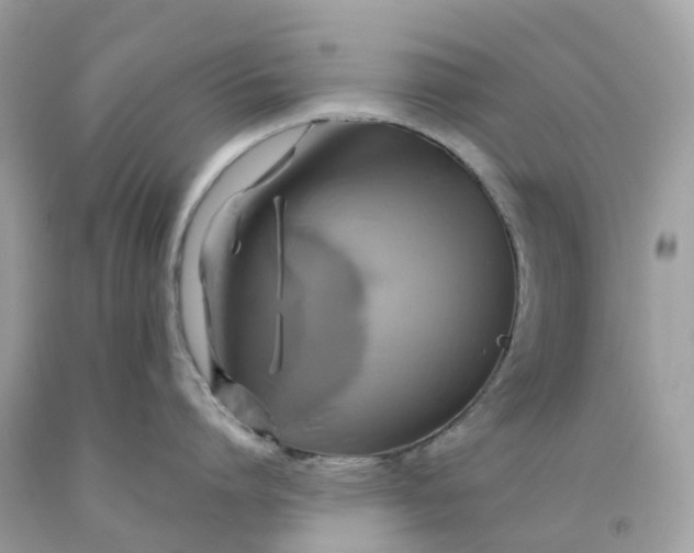 X0000091480864200709061838