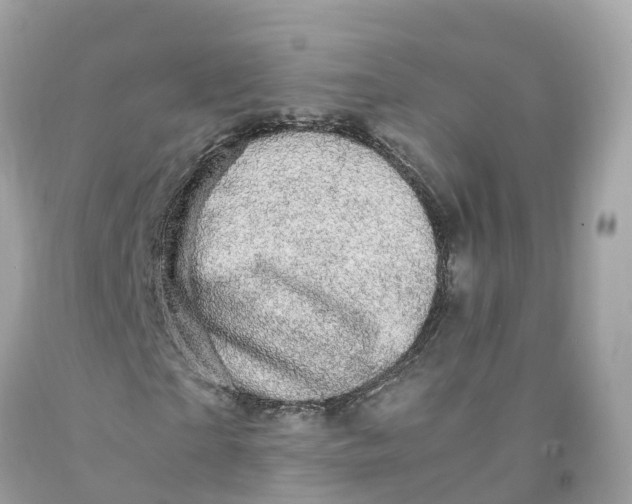 X0000091480865200709061837