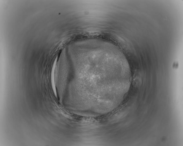 X0000091480866200709061837