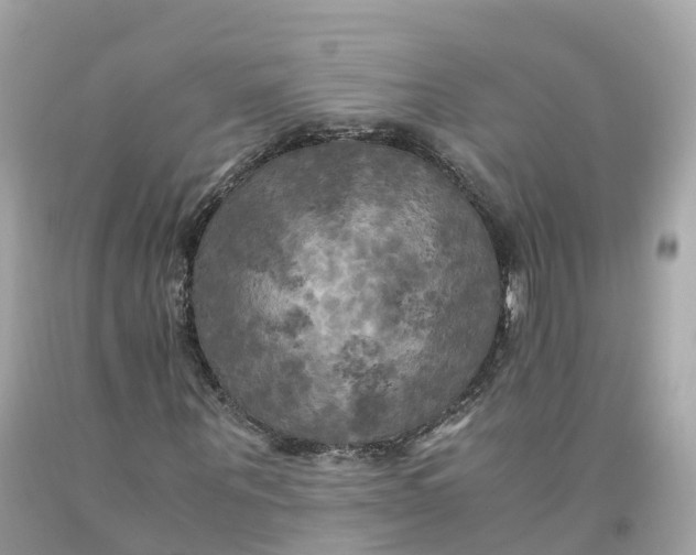 X0000091480867200709061837