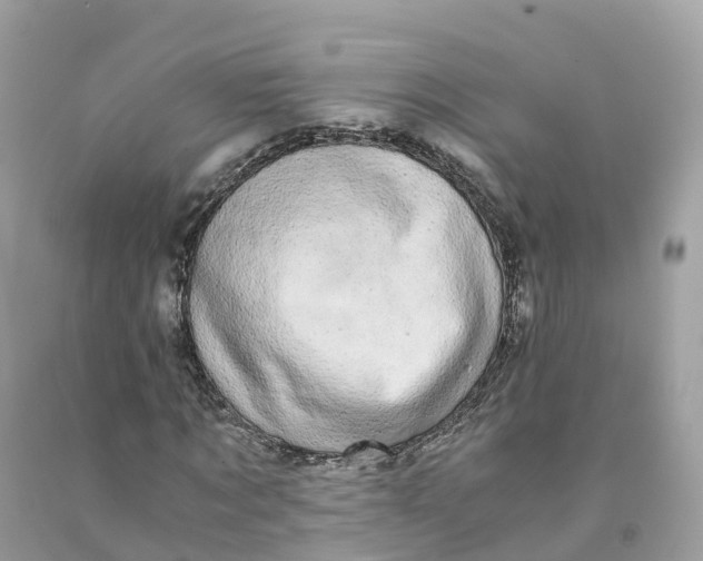 X0000091480869200709061837