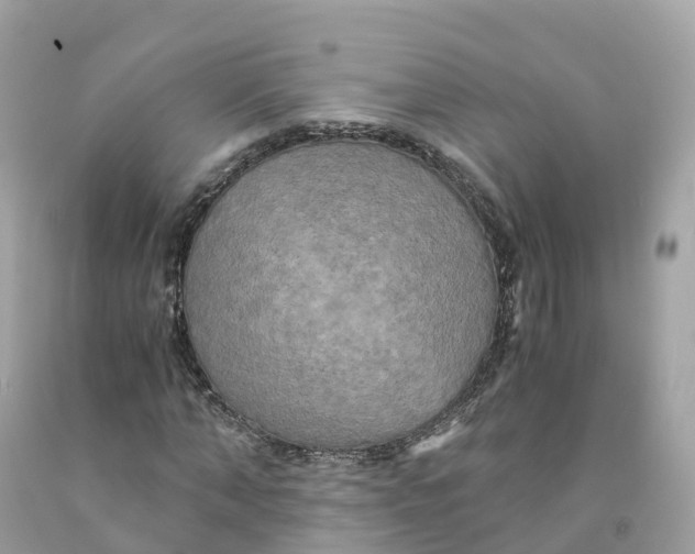 X0000091480870200709061837