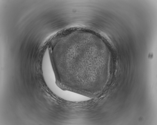 X0000091480872200709061837