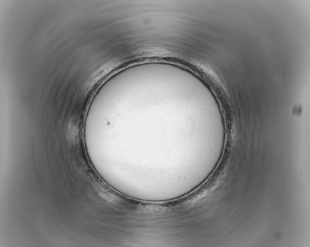 X0000091480873200709061837