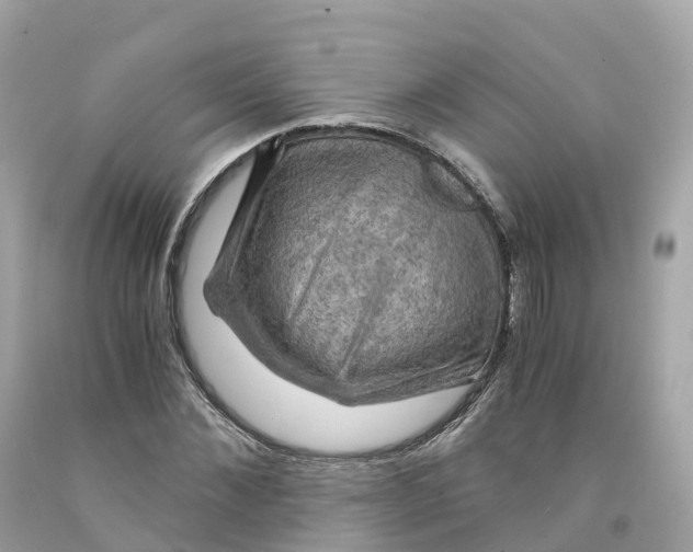 X0000091480876200709061837