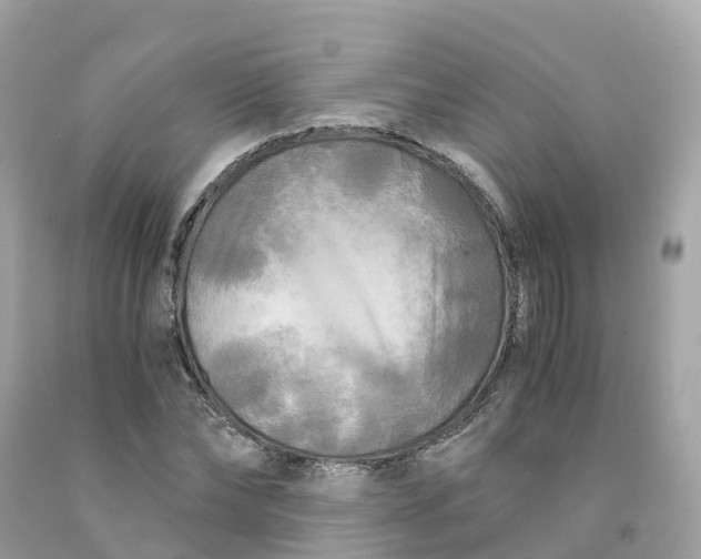 X0000091480878200709061837