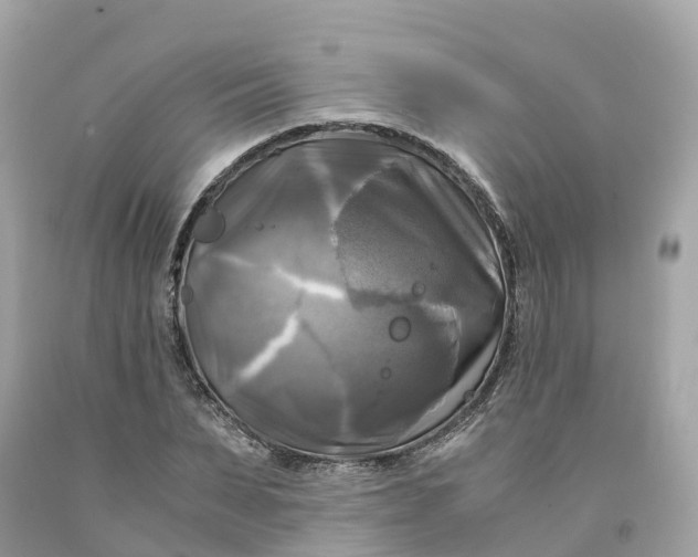 X0000091480879200709061837