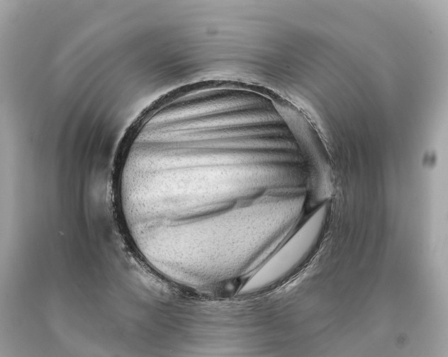 X0000091480880200709061837