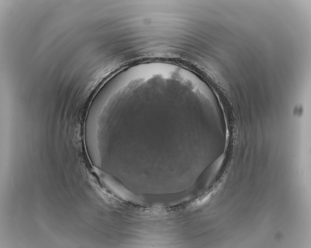 X0000091480881200709061837