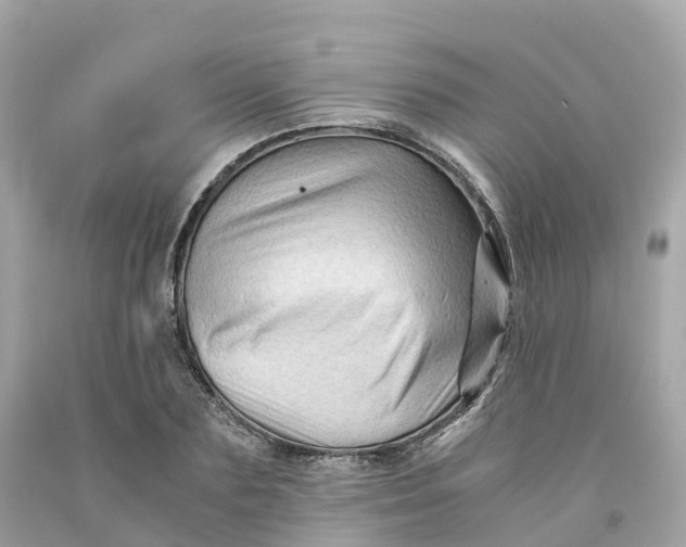 X0000091480883200709061837