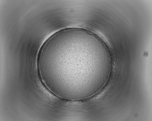 X0000091480884200709061837