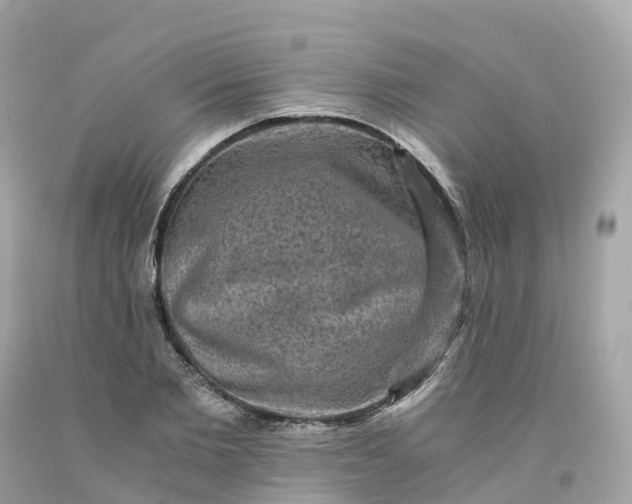 X0000091480885200709061837