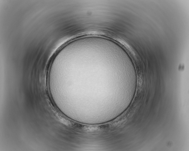 X0000091480886200709061837