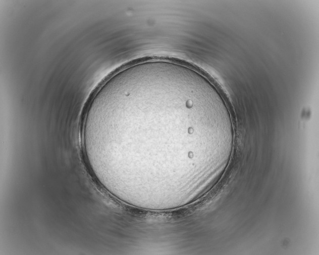 X0000091480887200709061837