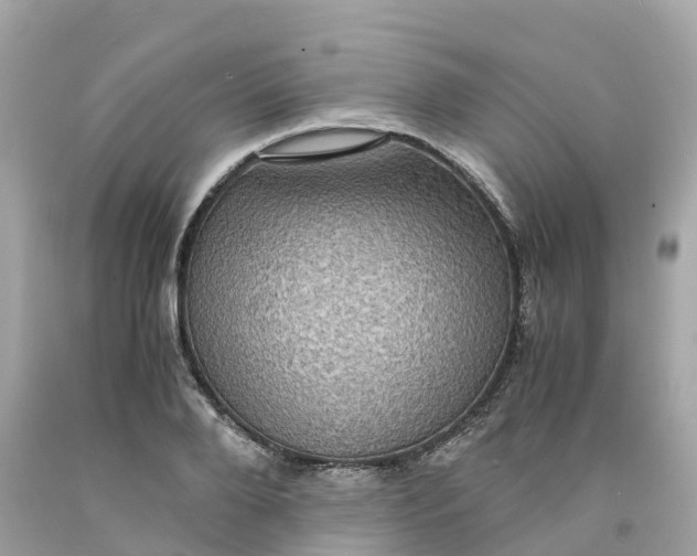 X0000091480888200709061837