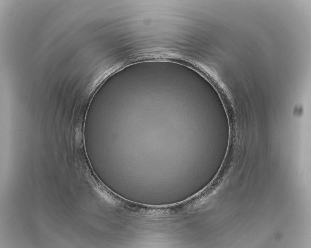 X0000091480889200709061837