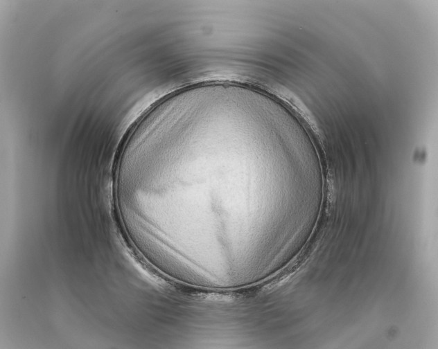 X0000091480890200709061837