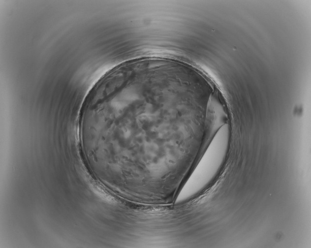 X0000091480891200709061837