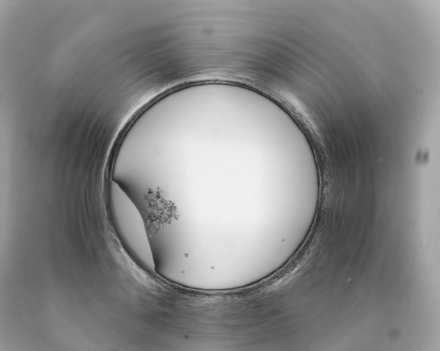 X0000091480892200709061837