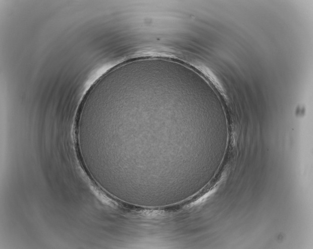 X0000091480893200709061837