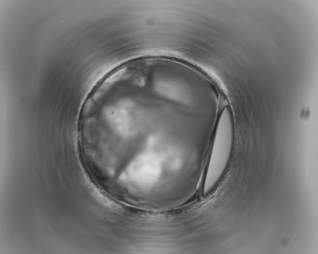 X0000091480895200709061837