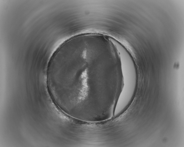 X0000091480896200709061837