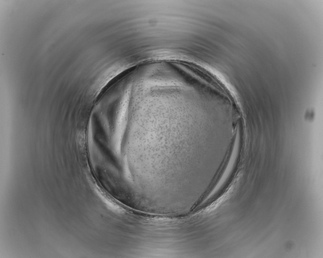 X0000091480897200709061837