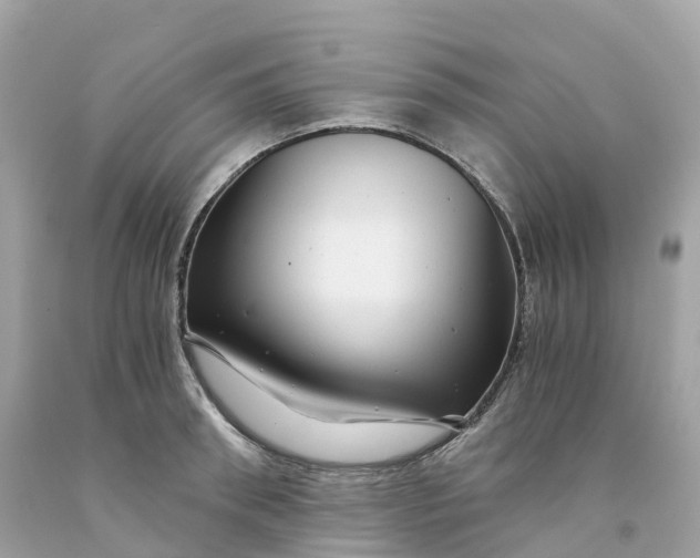 X0000091480898200709061837