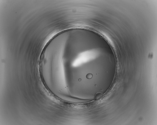 X0000091480899200709061836