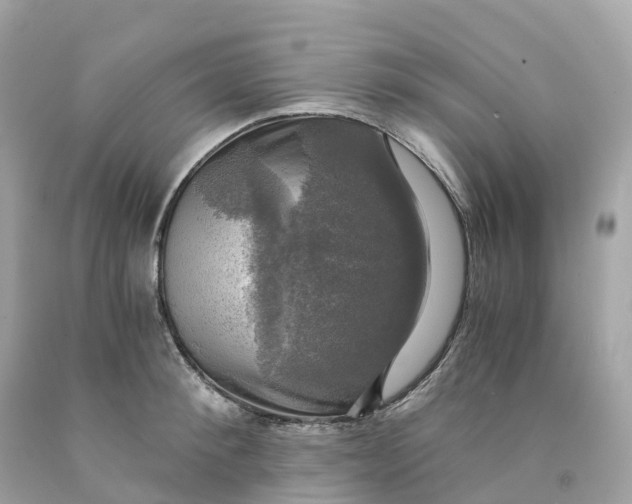 X0000091480900200709061836