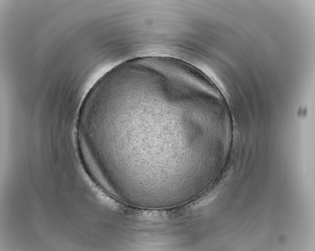 X0000091480901200709061836