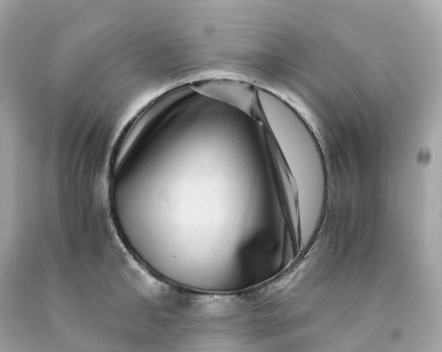 X0000091480902200709061836