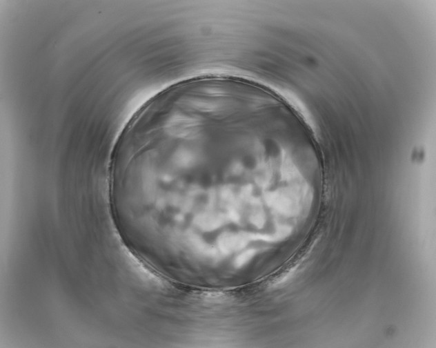 X0000091480903200709061836