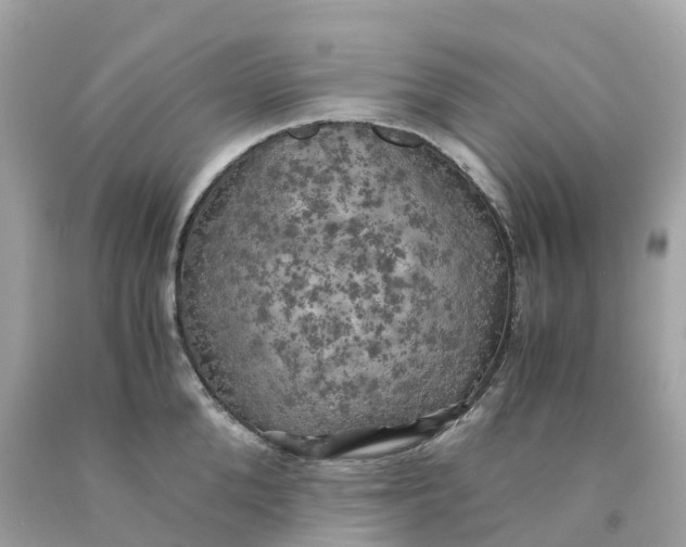 X0000091480904200709061836