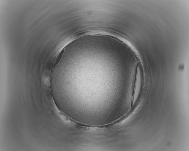 X0000091480905200709061836