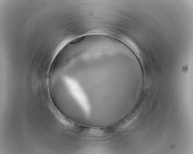 X0000091480907200709061836