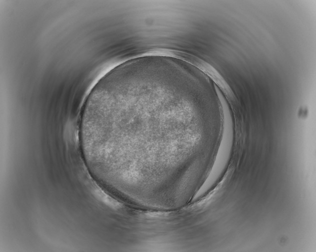 X0000091480908200709061836