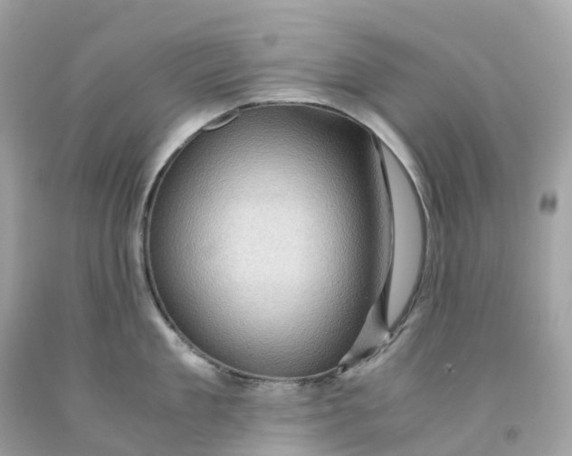 X0000091480909200709061836