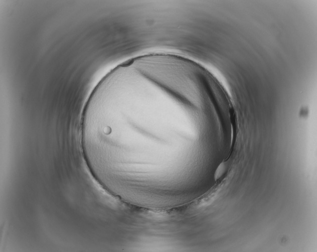 X0000091480911200709061836