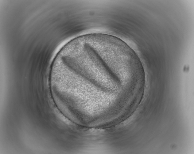 X0000091480912200709061836